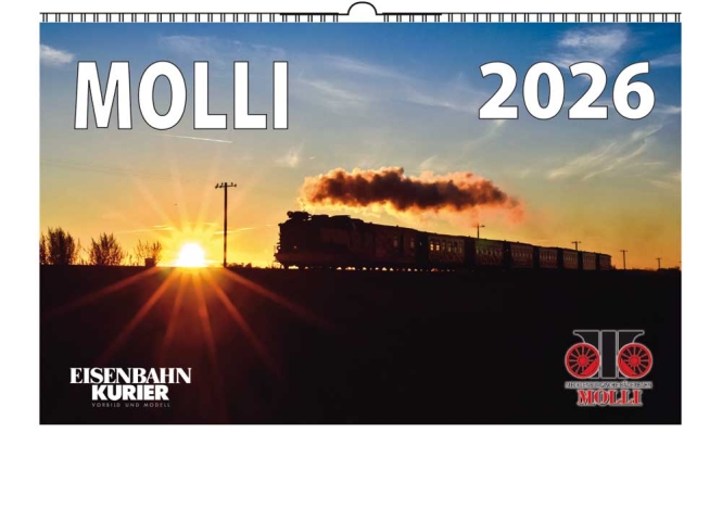 5955 Molli 2026